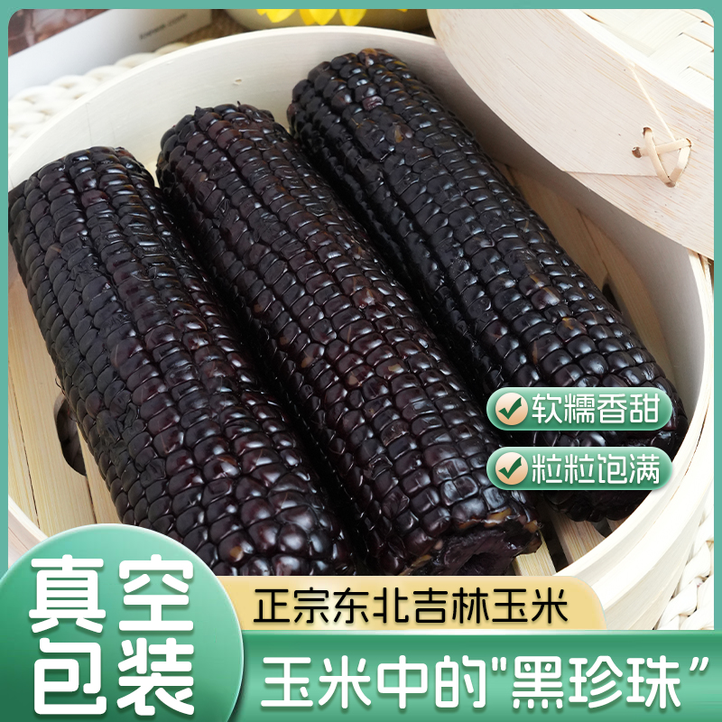 舒苒黑糯玉米2023年东北吉林新鲜真空装包香甜粗粮玉米低脂大苞米