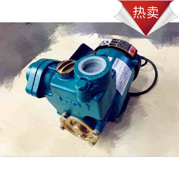 浙江LEO利欧水泵XKSm126 高压自吸泵家用增压泵小型抽水泵125W