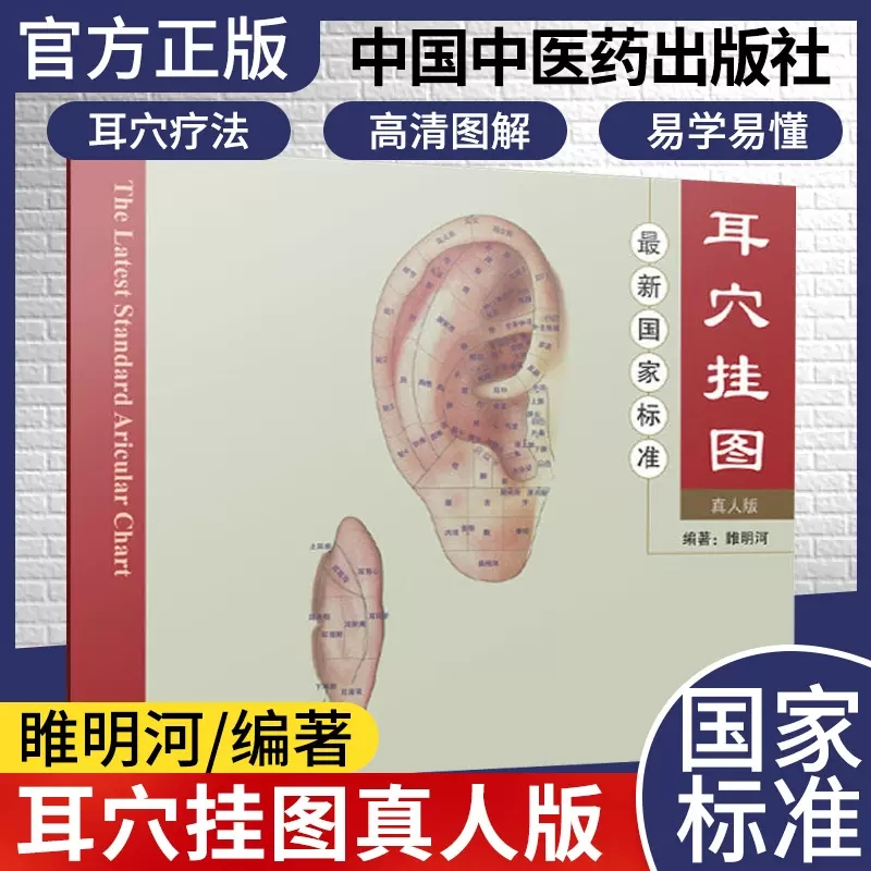 最新国家标准耳穴挂图（真人版）中国中医药出版社9787513205399
