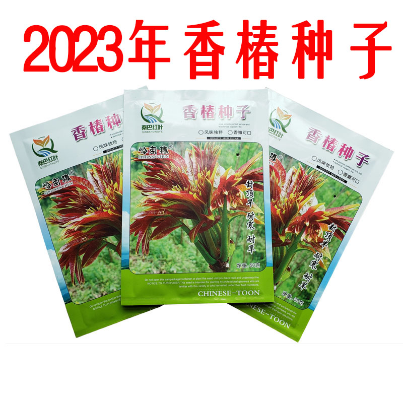 秦巴红叶2023年新产红油香椿种子种籽四季芽苗菜蔬菜树苗50克包邮