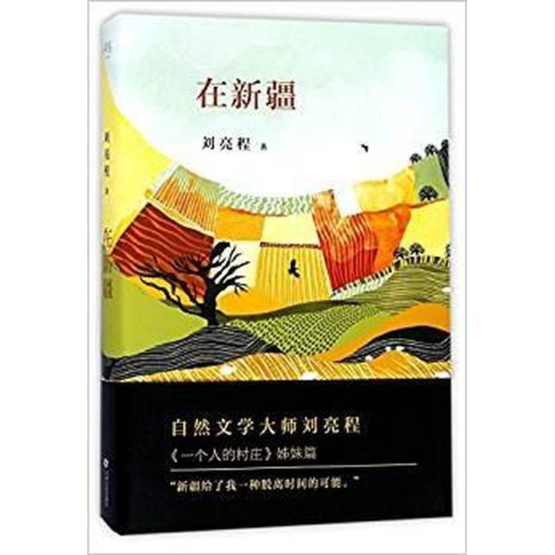 【正版新书】在新疆（精装典藏） 刘亮程 江西人民出版社
