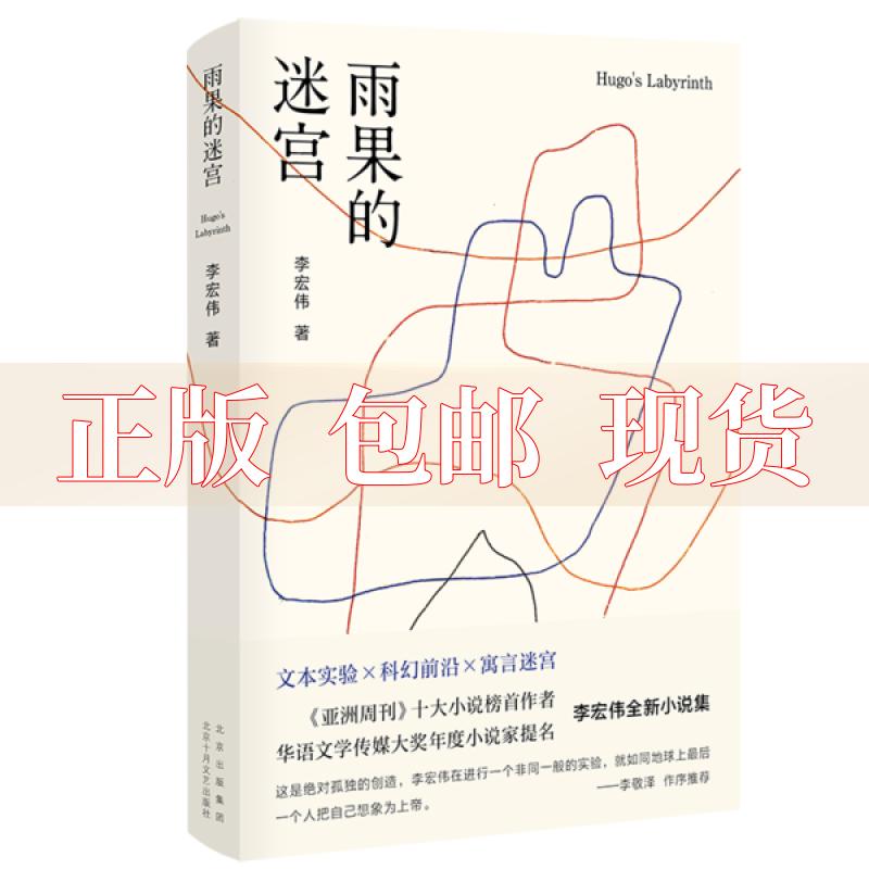 【正版书包邮】雨果的迷宫李宏伟新经典出品北京十月文艺出版社