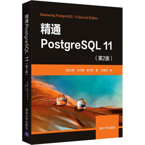 保证正版】精通PostgreSQL 11(第2版)汉斯·尤尔根·舍尔希清华大学出版社9787302547648