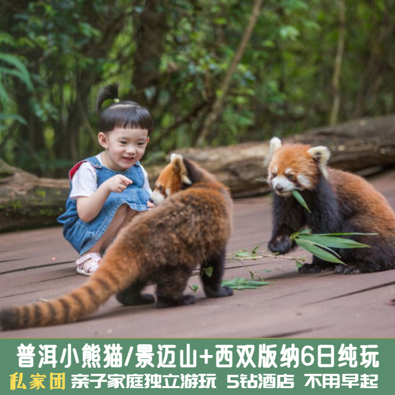 云南亲子私家团纯玩西双版纳普洱小熊猫庄园望天树热带雨林6天5晚