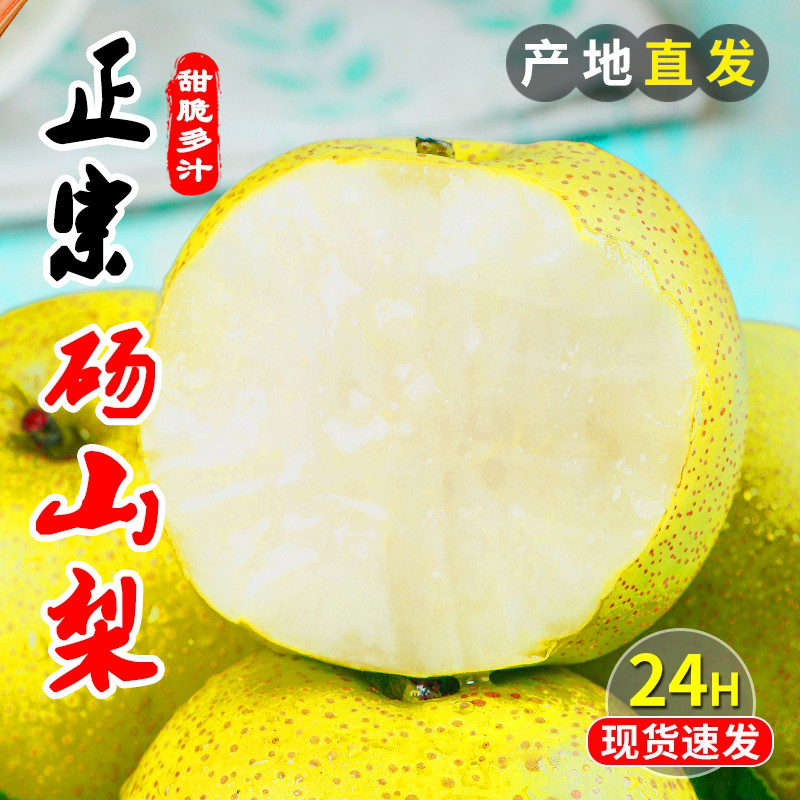 安徽砀山梨青梨酥梨子10斤水果新鲜应当季整箱包邮正宗皇雪翠冠梨