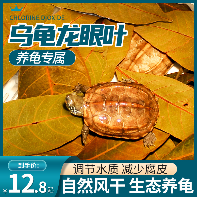 免煮养龟龙眼叶防腐皮改善水质乌龟用品龟缸水草造景风干榄仁叶子