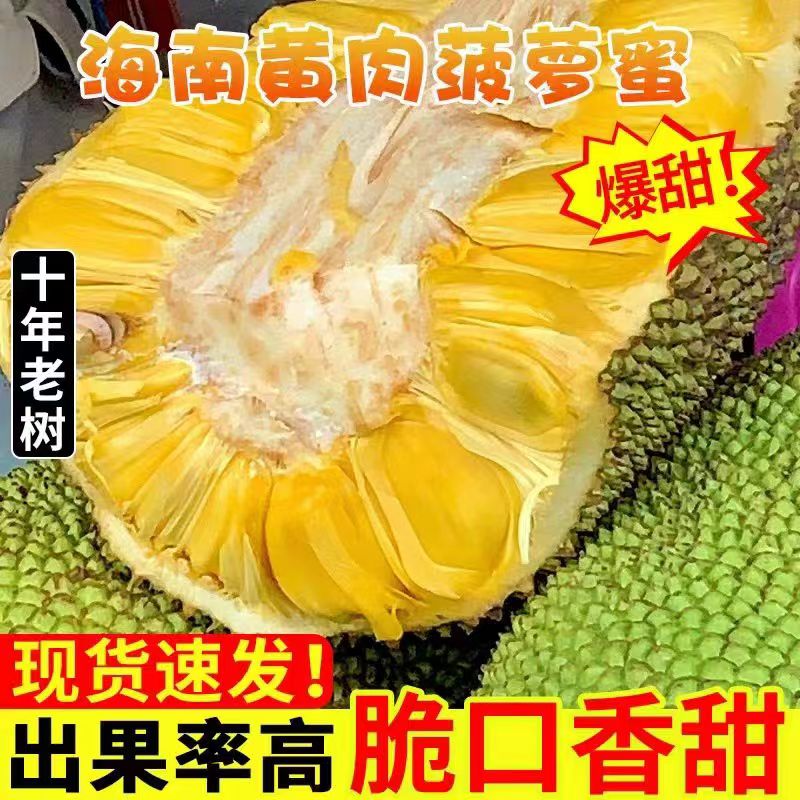 海南三亚菠萝蜜新鲜水果当季木波罗蜜黄肉整箱20斤/35斤整个包邮