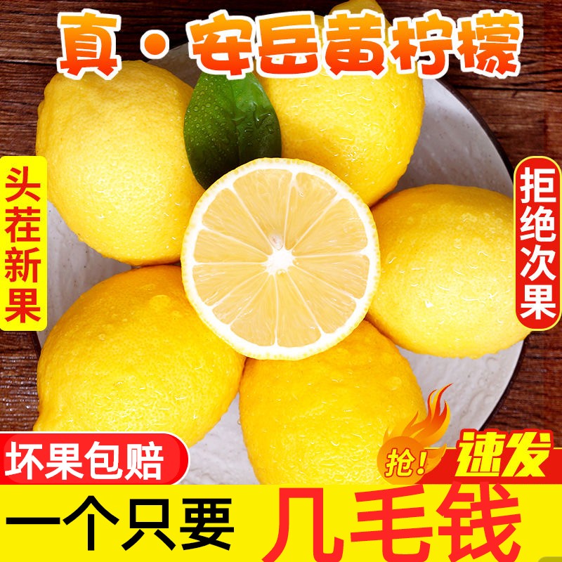 四川安岳黄柠檬新鲜水果5斤奶茶店专用皮薄当季香水鲜青柠檬果9斤