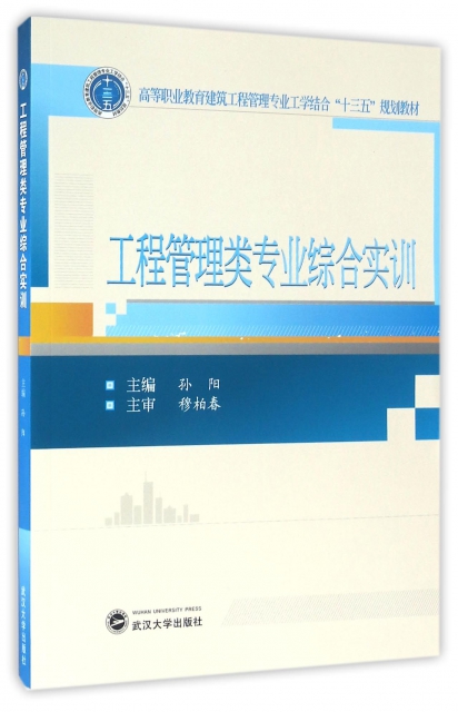 正版新书 工程管理类专业综合实训 主编孙阳 9787307178335 武汉大学出版社
