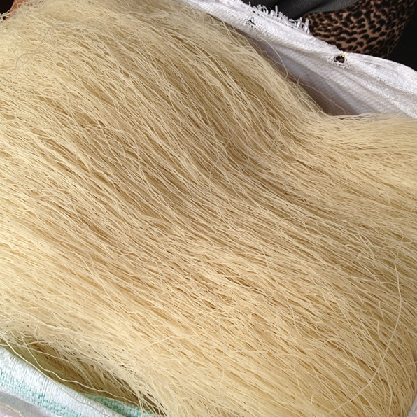 小芝细米面 浙江台州临海土特产 大米制作面条 米粉 面干散装1斤