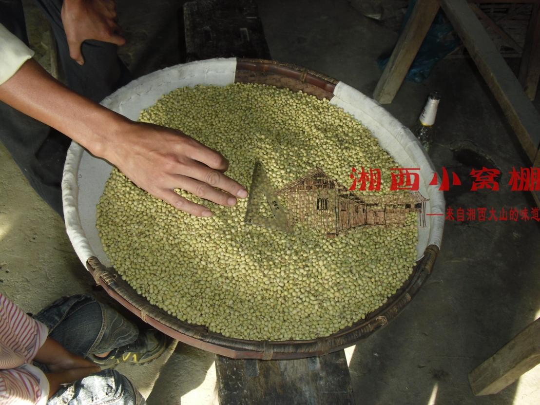湖南湘西1500米高山本地农家小黄豆高营养 4毫米 豆浆