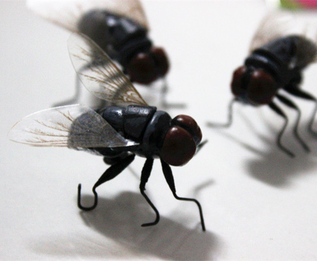 仿真昆虫 苍蝇 磁铁冰箱贴装饰品 场景布置 教育用品 整人玩具
