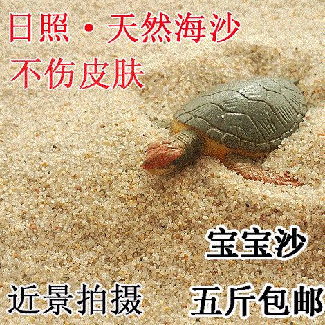 日照海沙鱼缸底砂水族造景水族箱海沙乌龟冬眠细沙子玩具沙