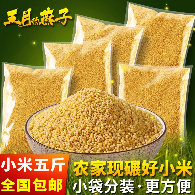 河北小米特产包邮 5斤 邯郸农家五谷杂粮食用吃的粮食新米小黄米
