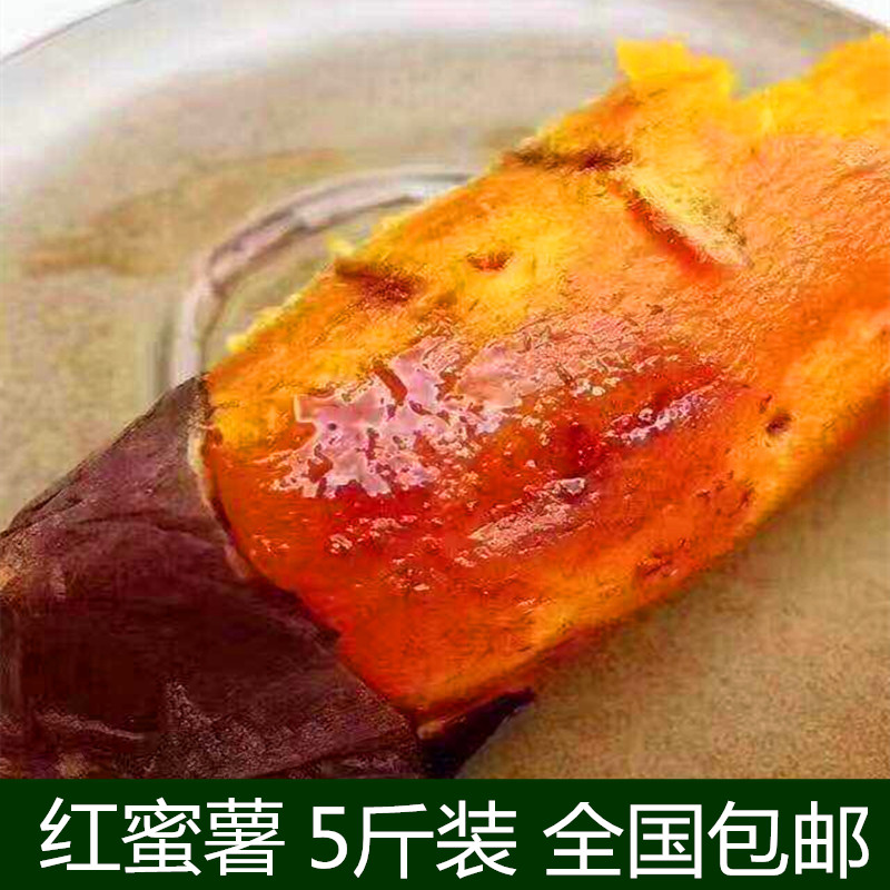 【5斤包邮】福建六鳌新鲜红薯红蜜薯香薯板栗薯甘薯山芋番薯地瓜