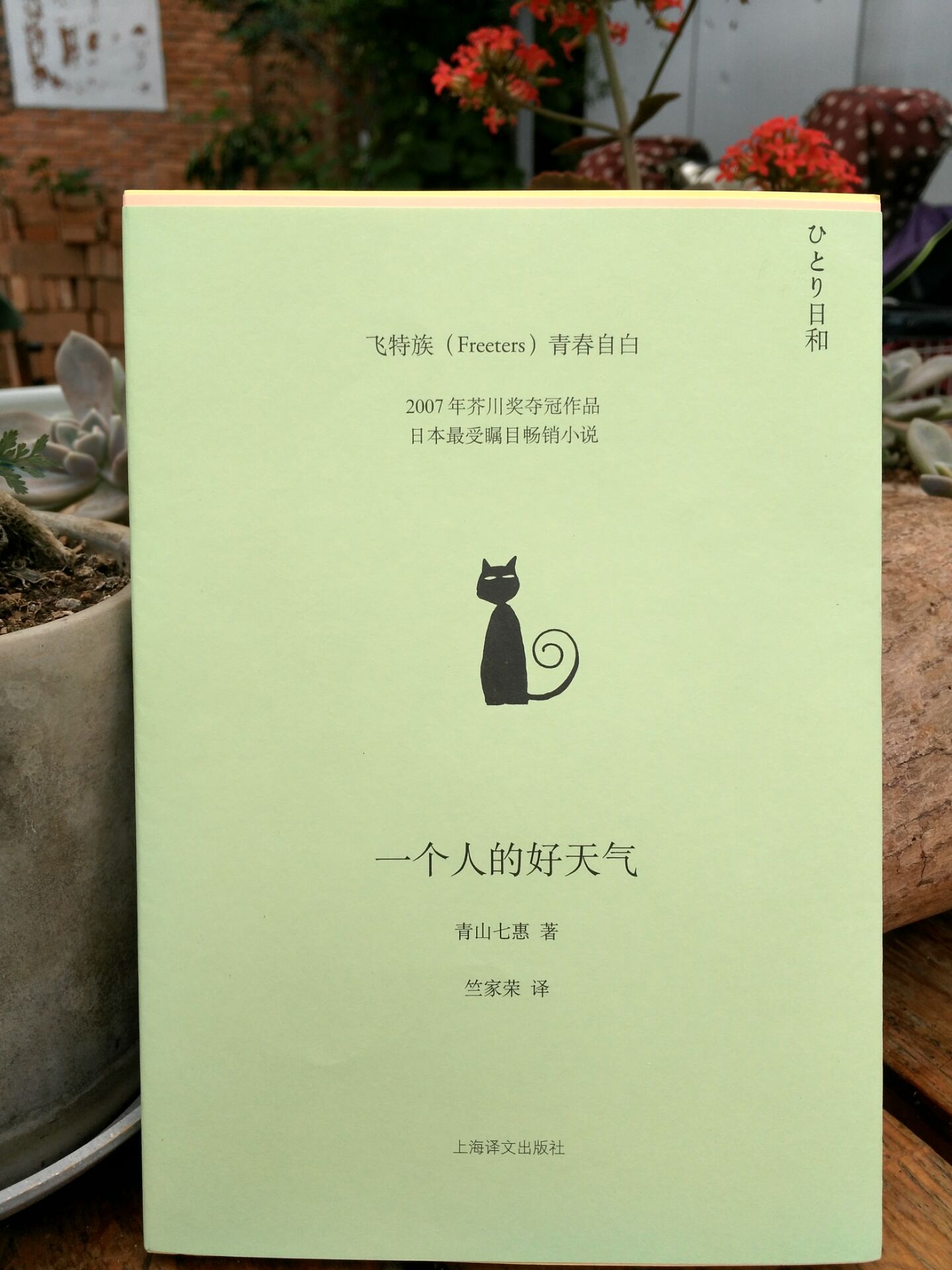 一个人的好天气（平装绿色封面）  日本现代小说  文学书籍（日）青山七惠 著  竺家荣译