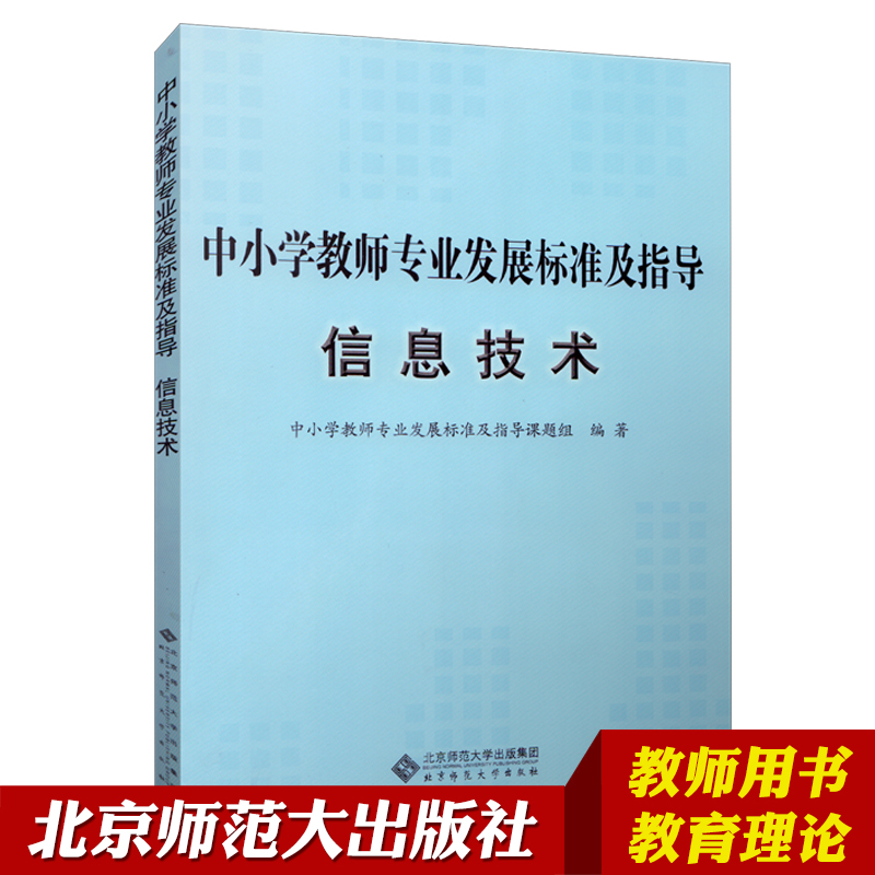 中小学教师专业发展标准及指导 信息技术 北京师范大学出版社