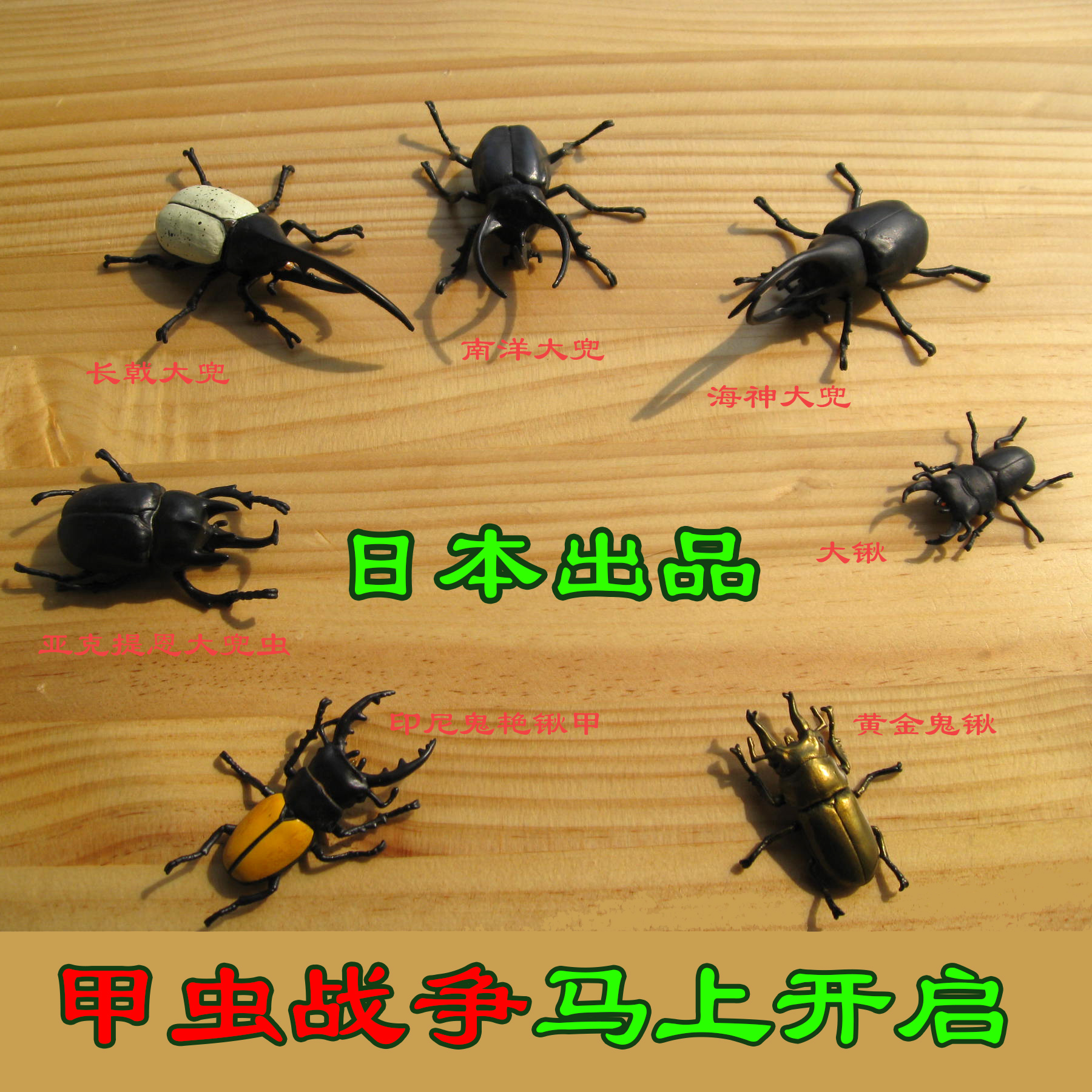 甲虫成虫全集独角仙模型亚克提恩长戟海神大兜南洋大兜、日本进口