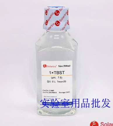 1×TBST缓冲液  TBST 500ml 科研试剂 北京索莱宝